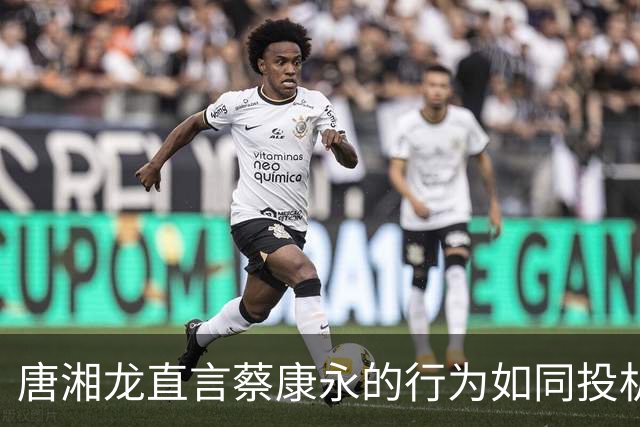 唐湘龙直言蔡康永的行为如同投机者，告诫公众勿对其寄予过多幻想